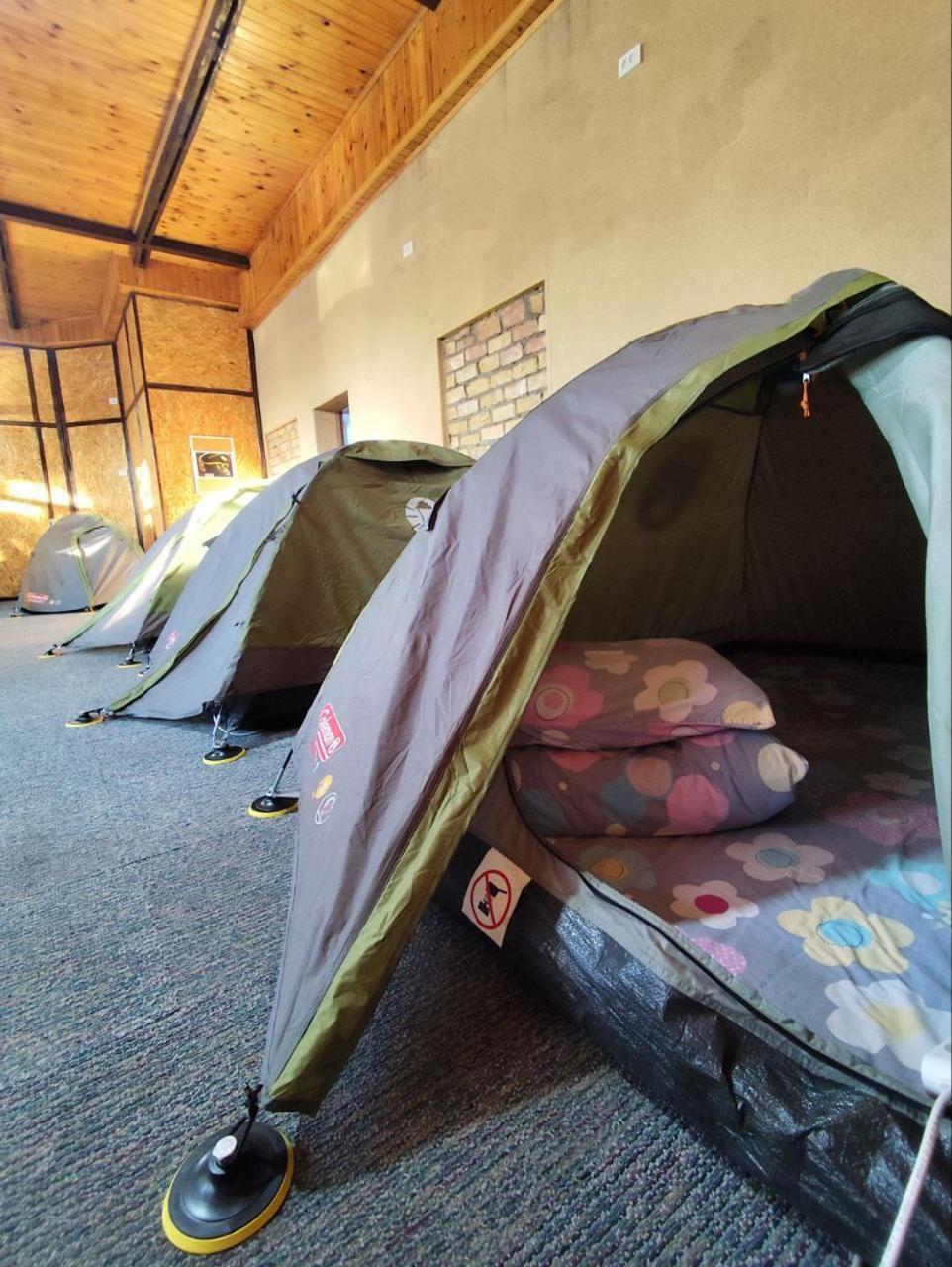 Urban Monkey Tent Hostel & Bar Karakol Ngoại thất bức ảnh
